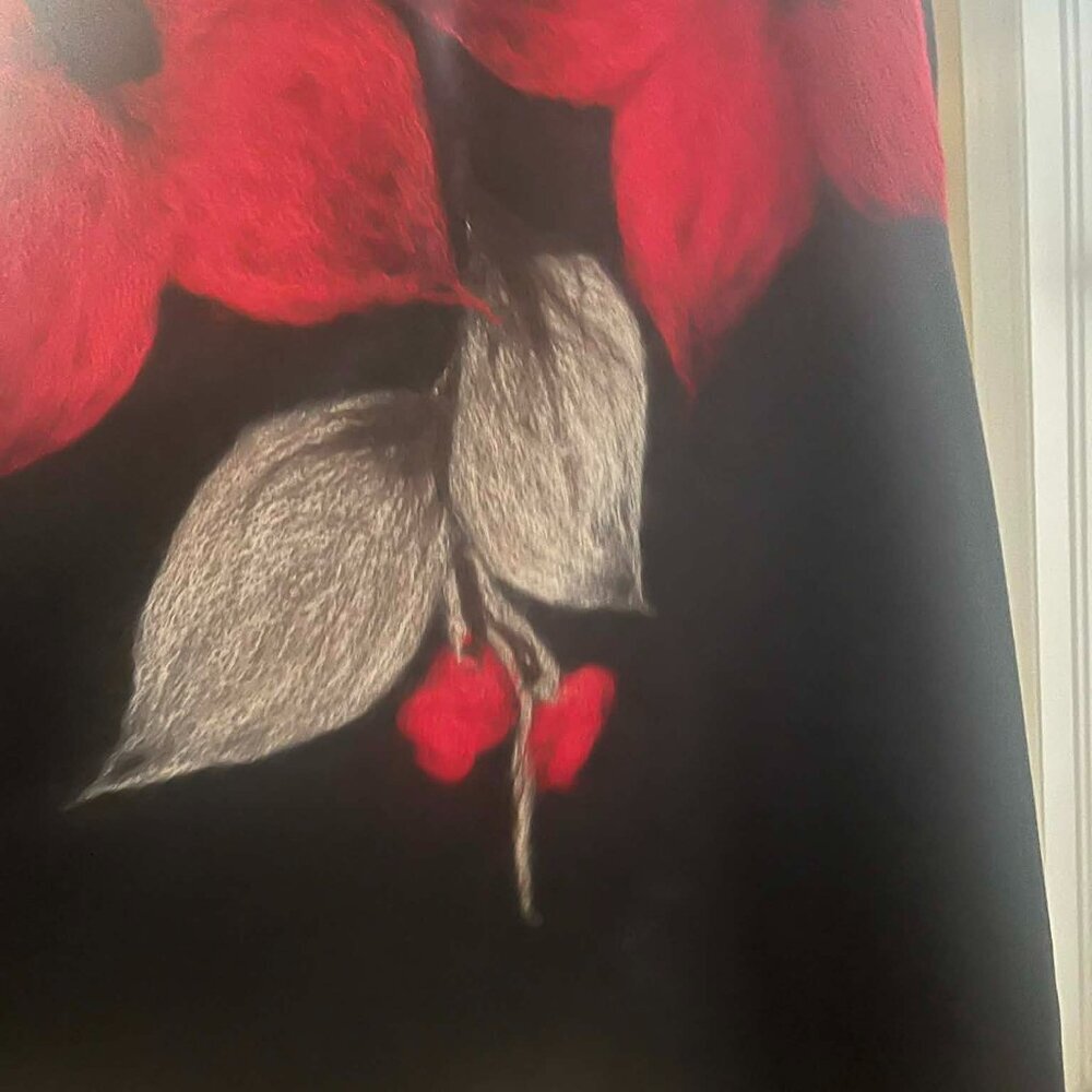 Gorgeous Black and Red Poncho from Poland (E10) - Picture 7 of 13